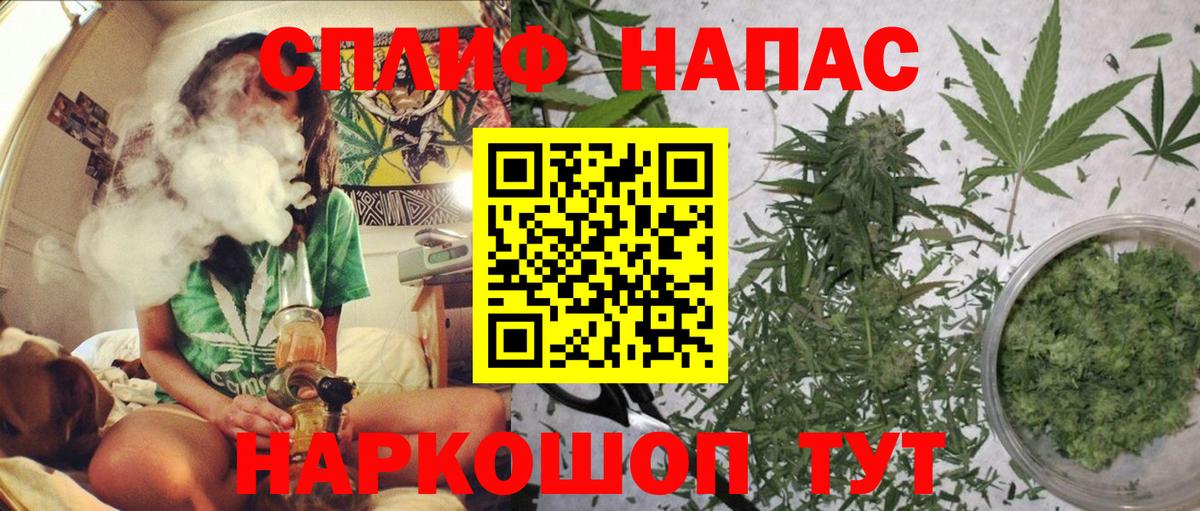 Канабис планчик Большой Камень